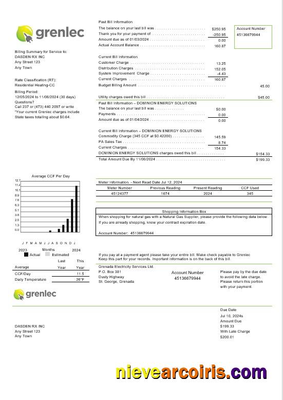Grenada Electricity Services business utility bill